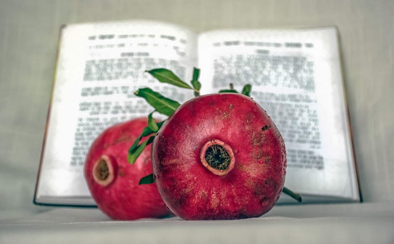 מהם ארבעת המינים ולמה חוגגים דווקא איתם?